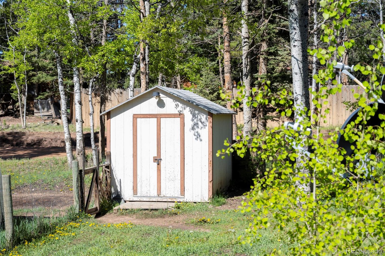 310 Blossom Road Woodland Park CO 80863