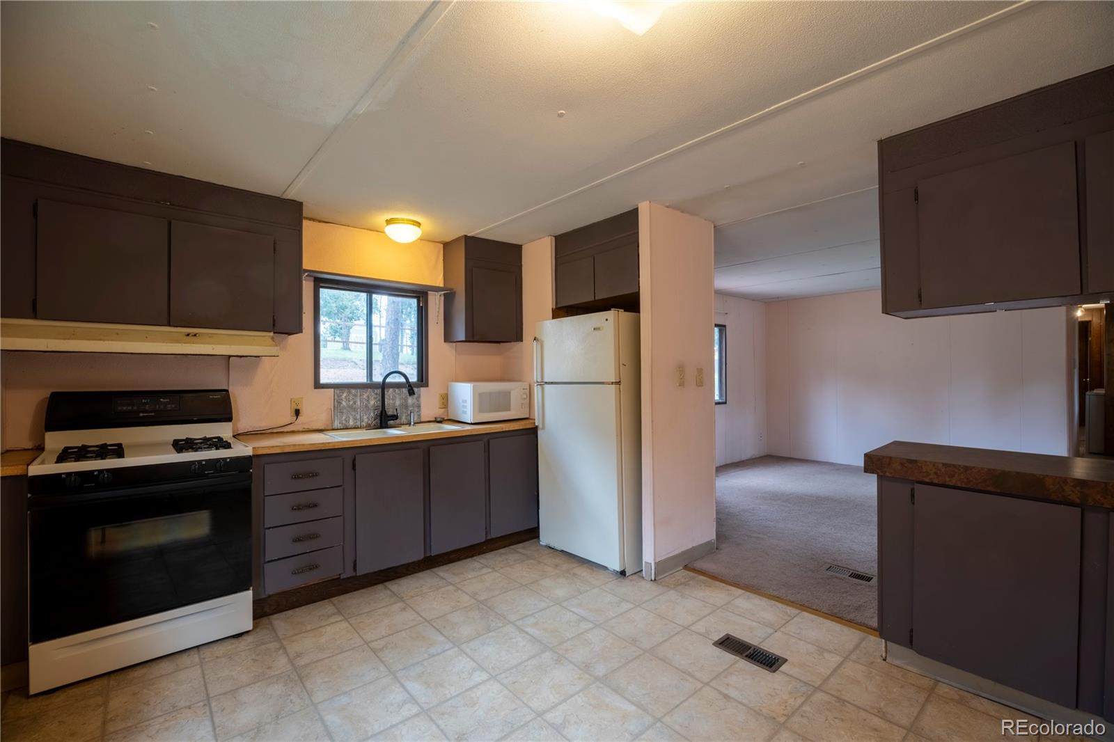 310 Blossom Road Woodland Park CO 80863
