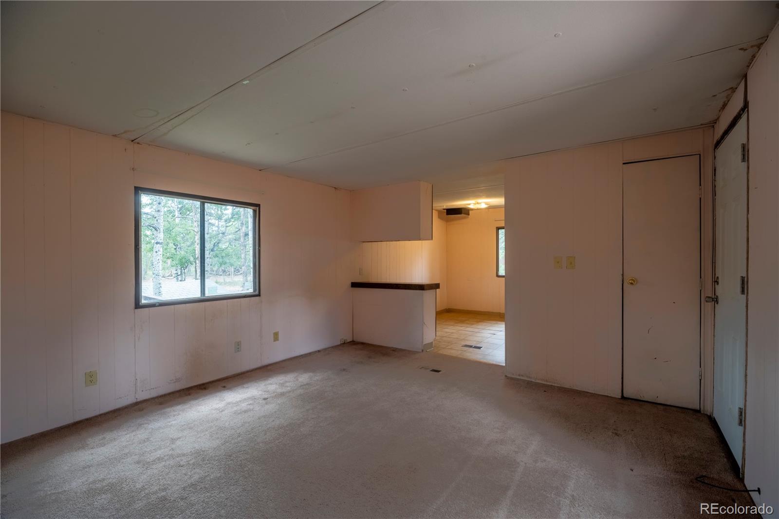 310 Blossom Road Woodland Park CO 80863