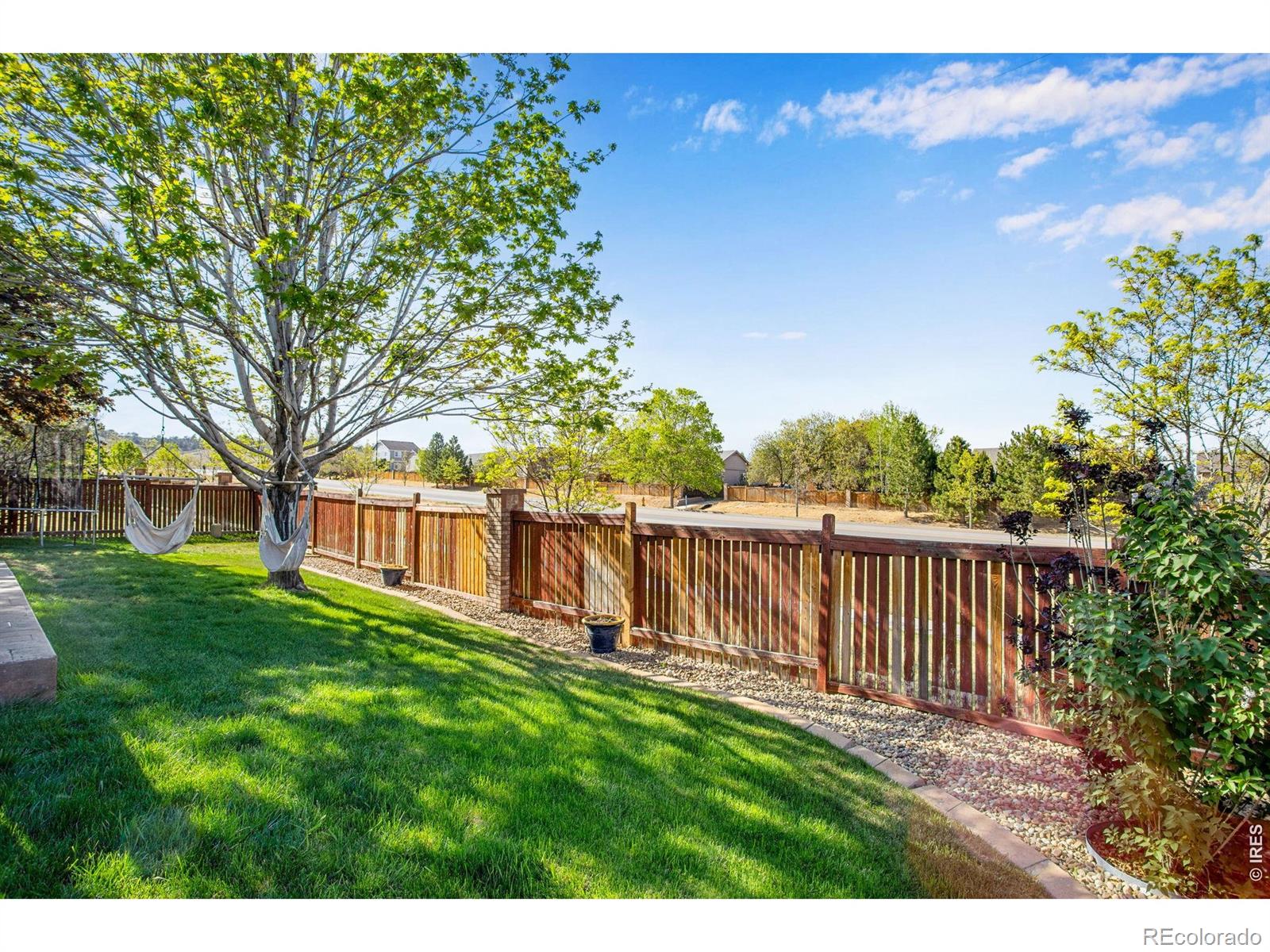 3765 Downieville Street Loveland CO 80538