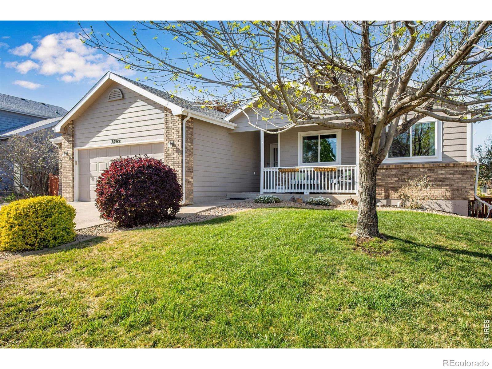 3765 Downieville Street Loveland CO 80538