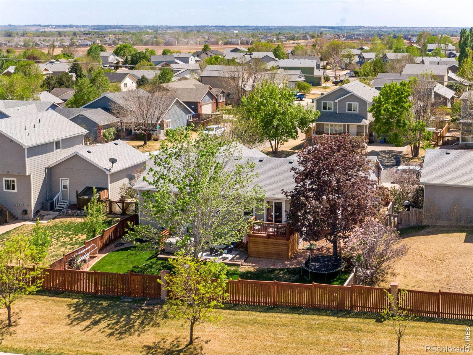 3765 Downieville Street Loveland CO 80538