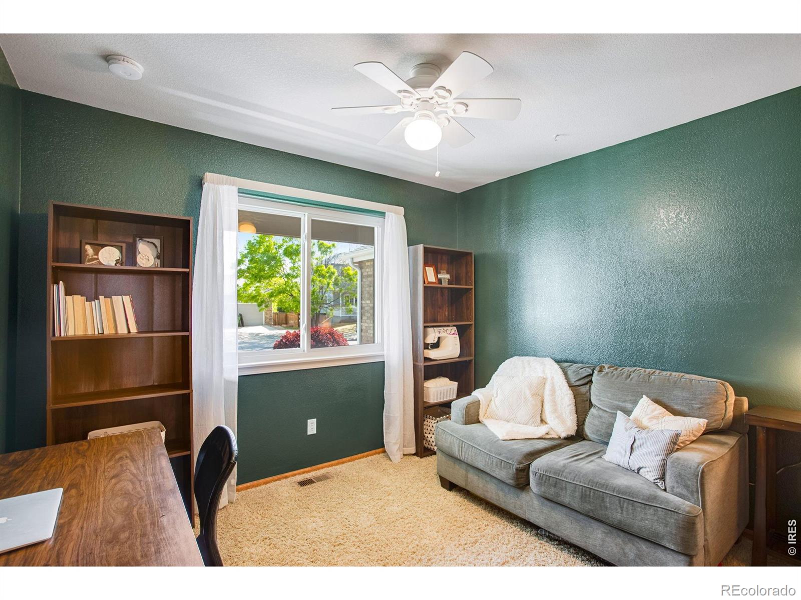 3765 Downieville Street Loveland CO 80538