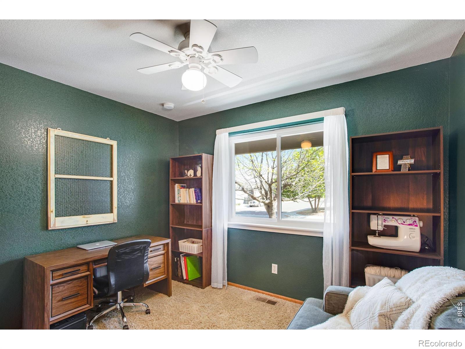 3765 Downieville Street Loveland CO 80538