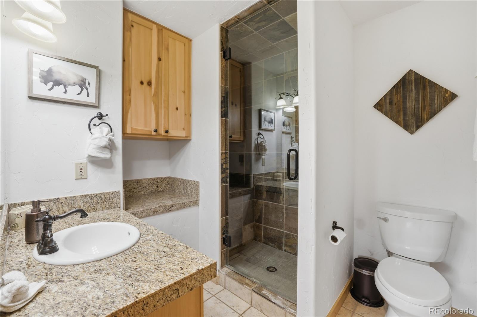 1701 Cutty Sark Court Silverthorne CO 80498
