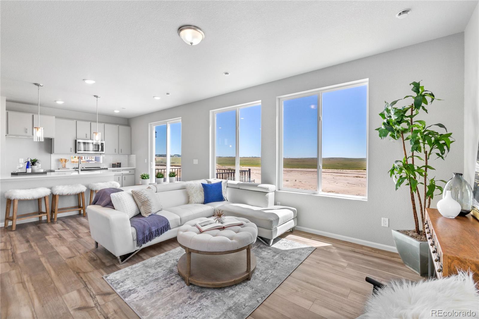 46593 Sunflower Lane Bennett CO 80102