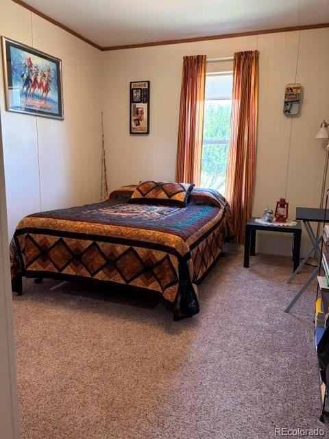 8084 Oak Drive Rye CO 81069