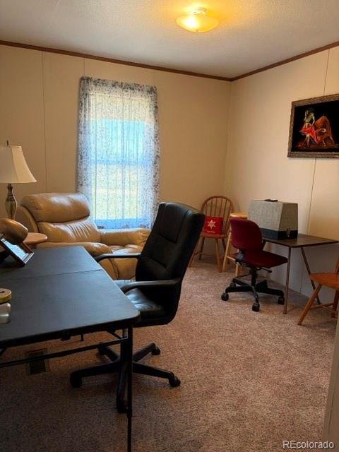 8084 Oak Drive Rye CO 81069