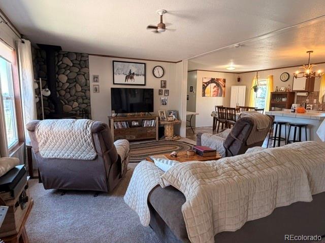 8084 Oak Drive Rye CO 81069