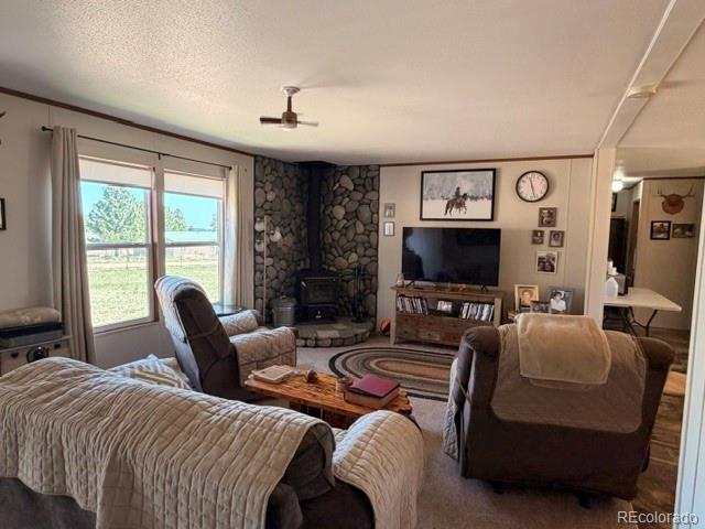 8084 Oak Drive Rye CO 81069
