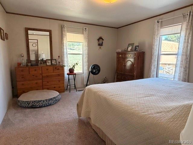 8084 Oak Drive Rye CO 81069