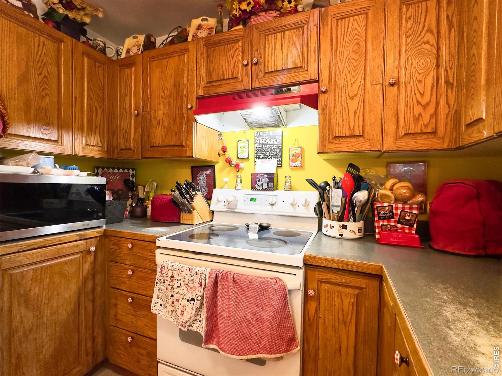 4409 Julian Court Fort Collins CO 80528