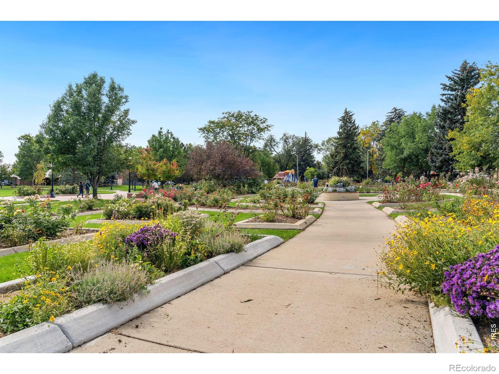 879 Glenarbor Circle Longmont CO 80504