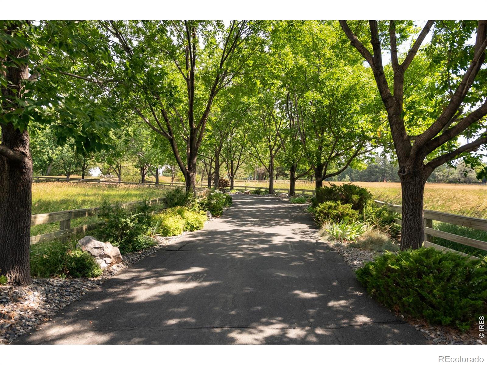 7007 Rozena Drive Longmont CO 80503