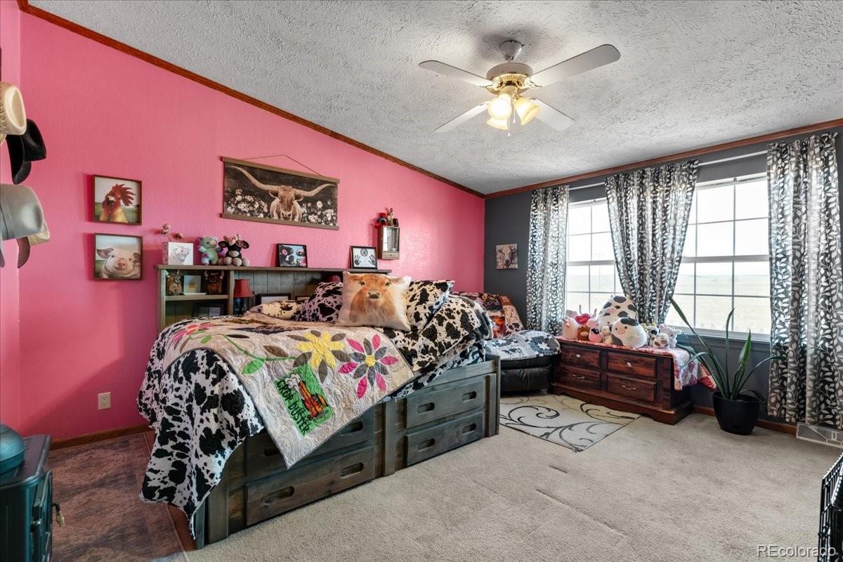57048 County Road 21 Carr CO 80612