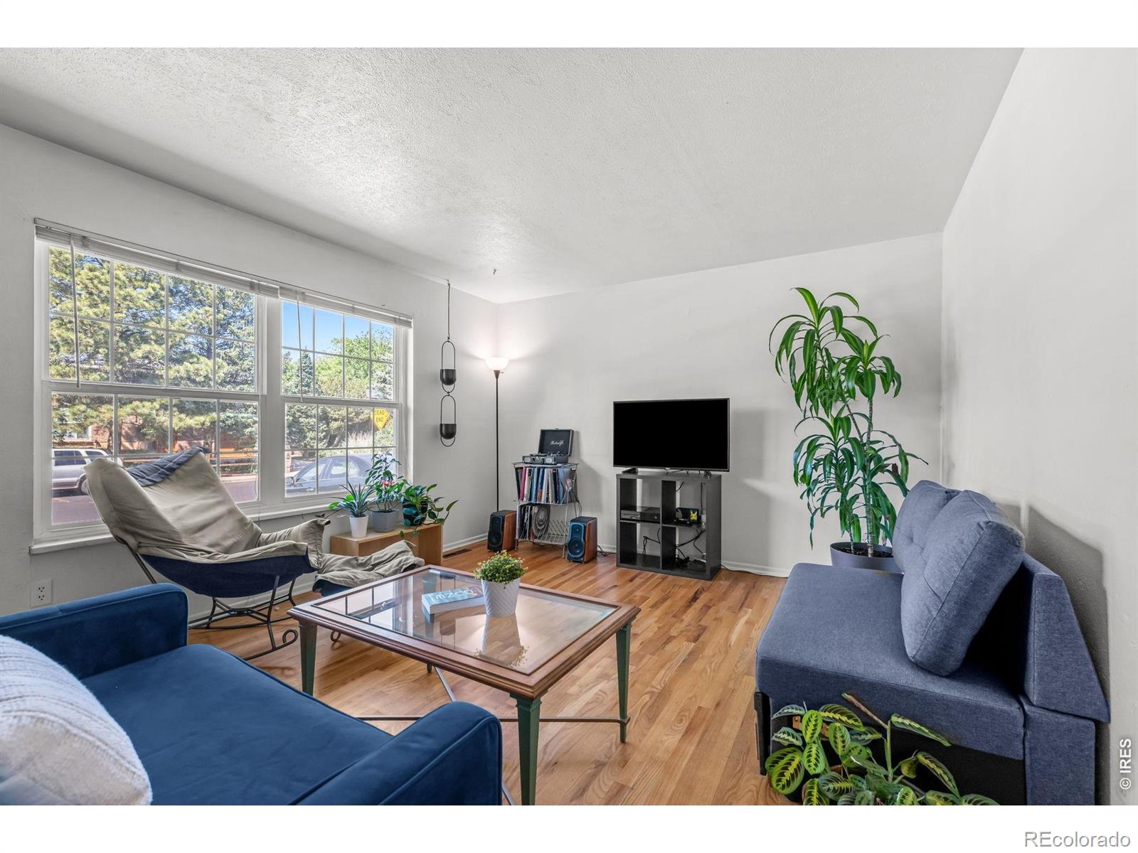 900 Morgan Drive Boulder CO 80303