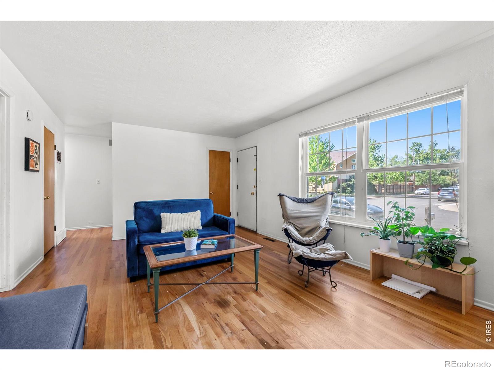 900 Morgan Drive Boulder CO 80303