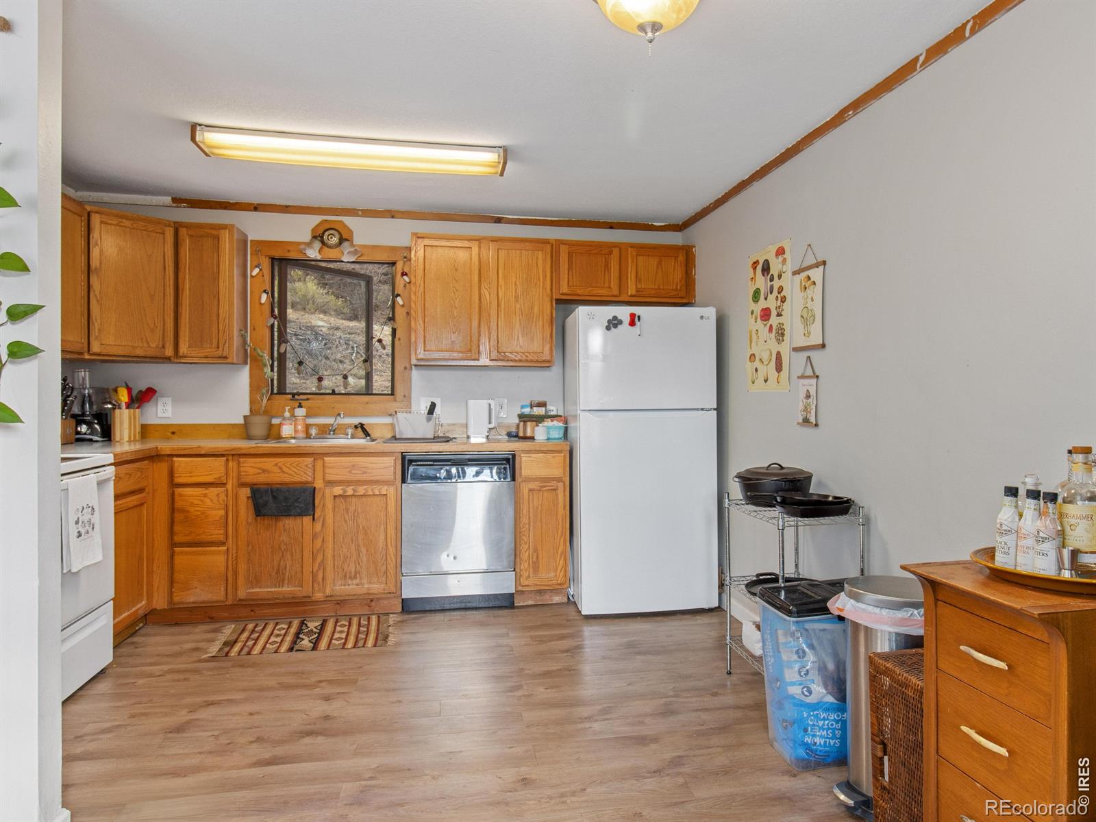 450 Hillside Lane Estes Park CO 80517