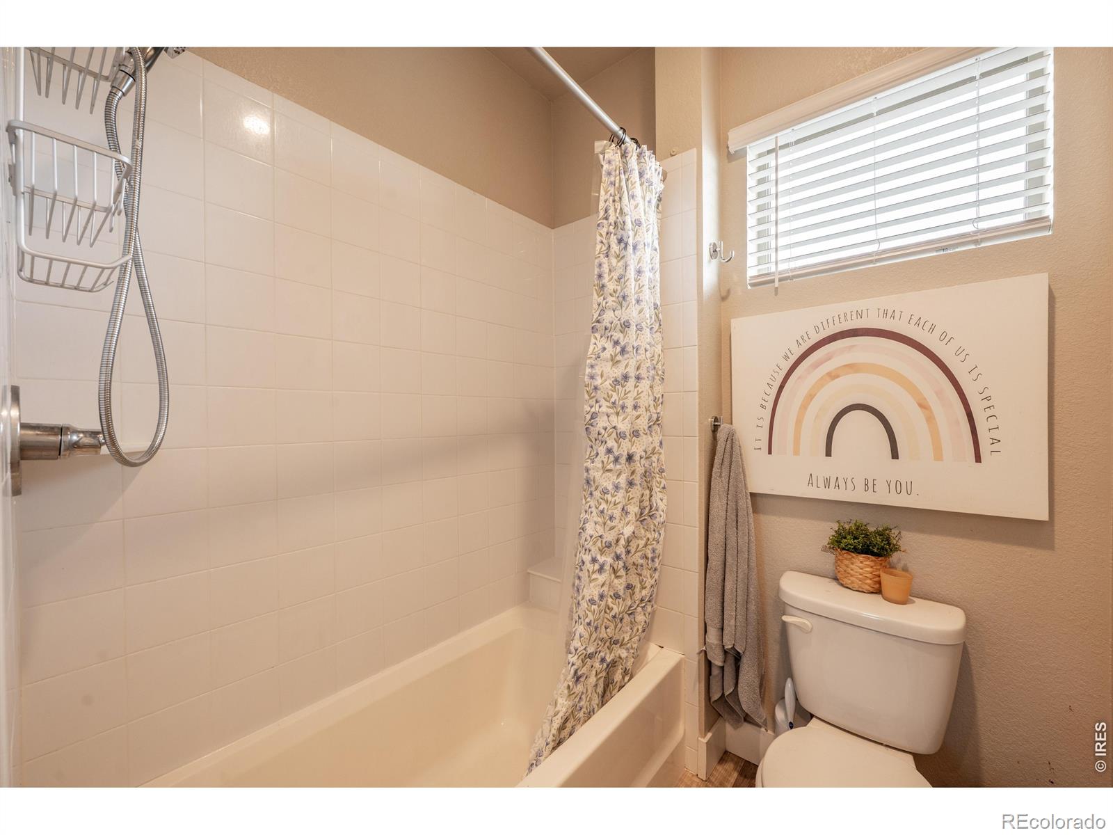 4593 Colorado River Drive Firestone CO 80504