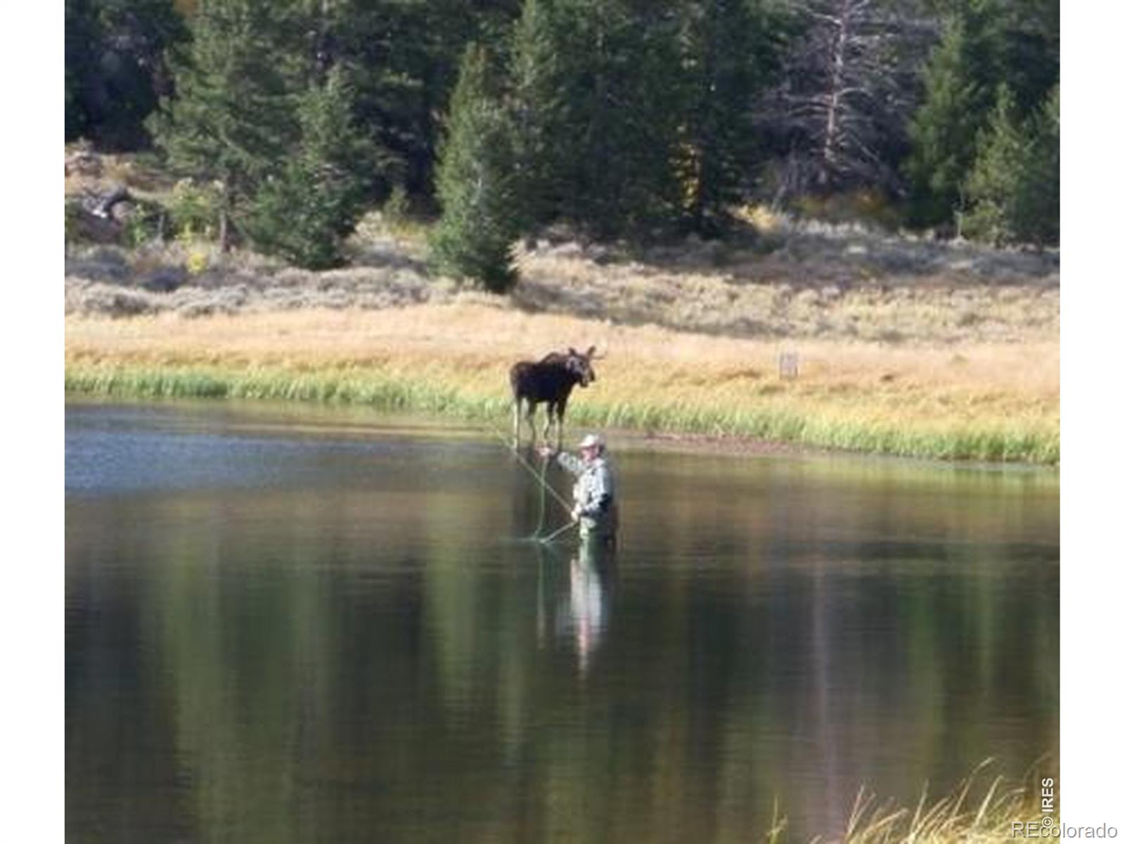 6097 N County Road 73c Red Feather Lakes CO 80545