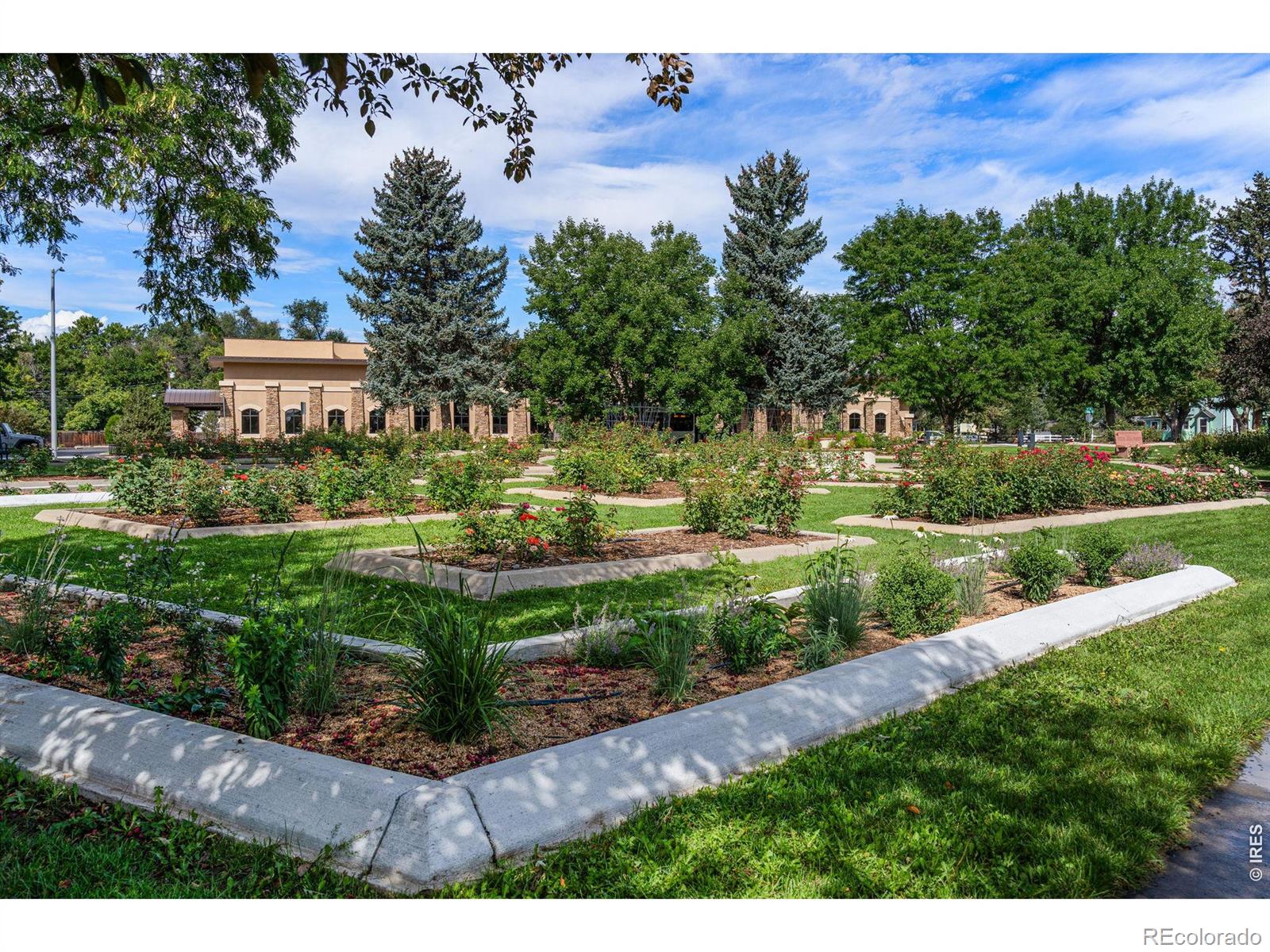 850 Judson Street Longmont CO 80501
