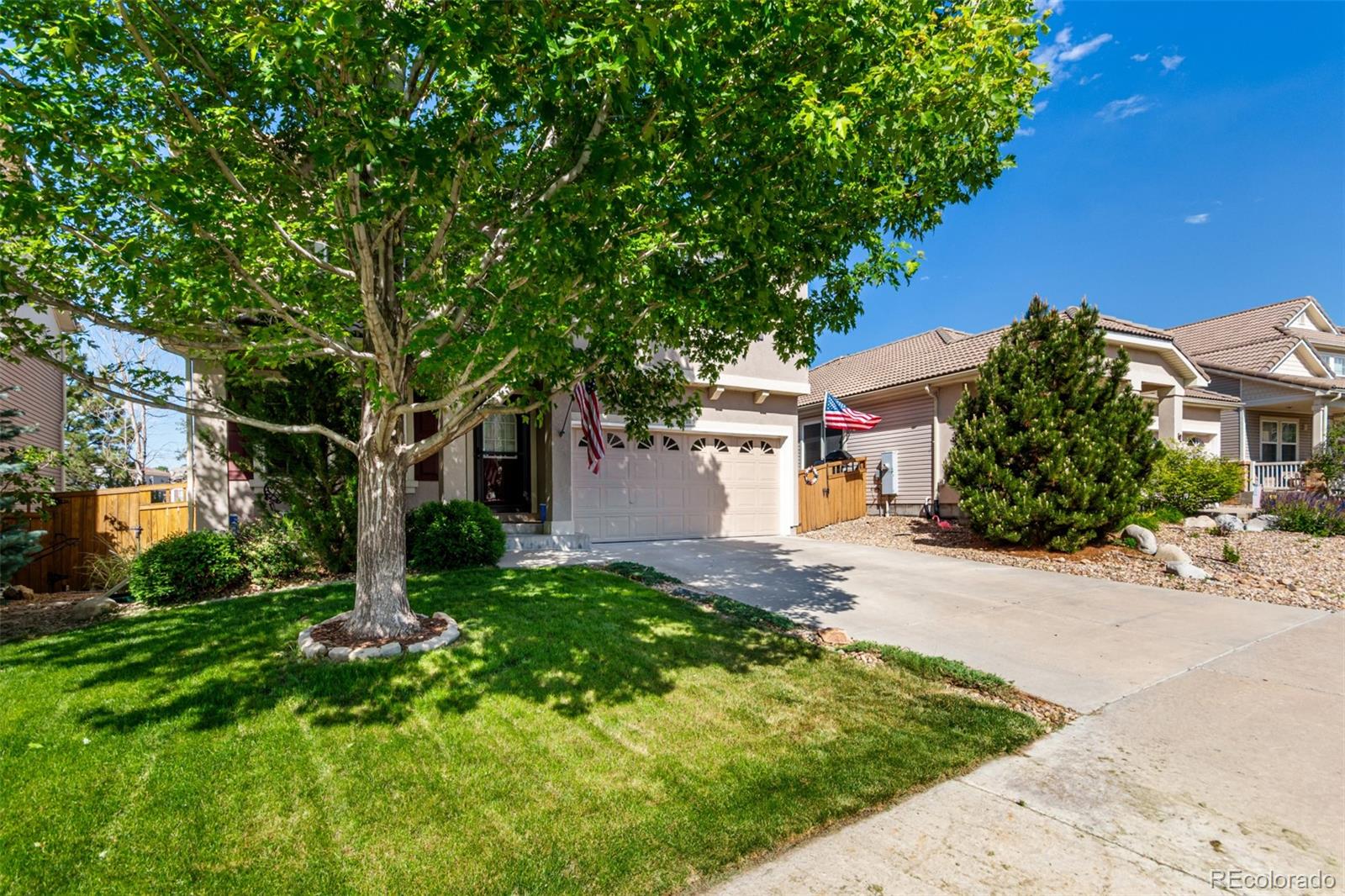 3505 Dinosaur Street Castle Rock CO 80109