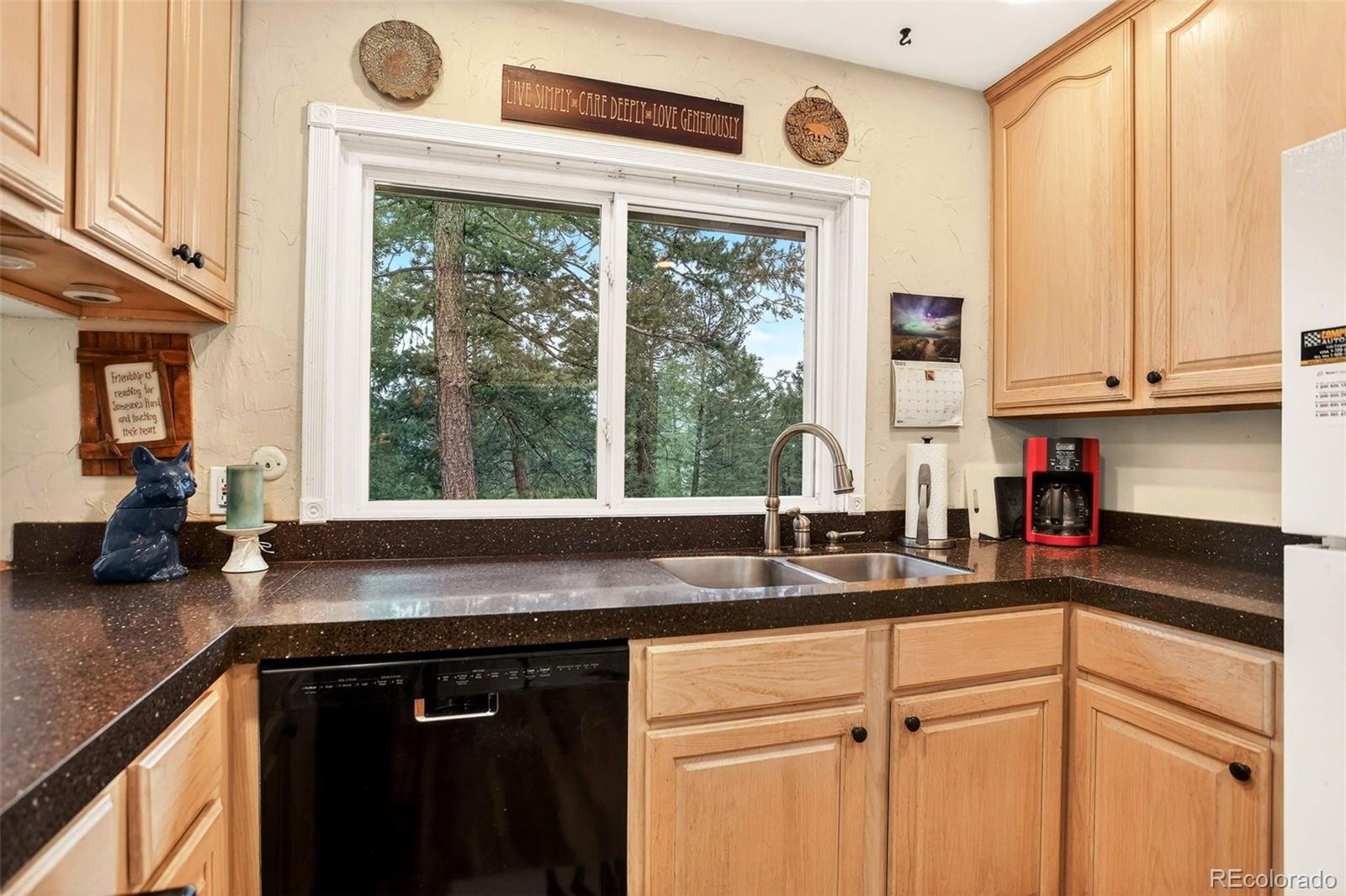 28221 Bonanza Drive Evergreen CO 80439