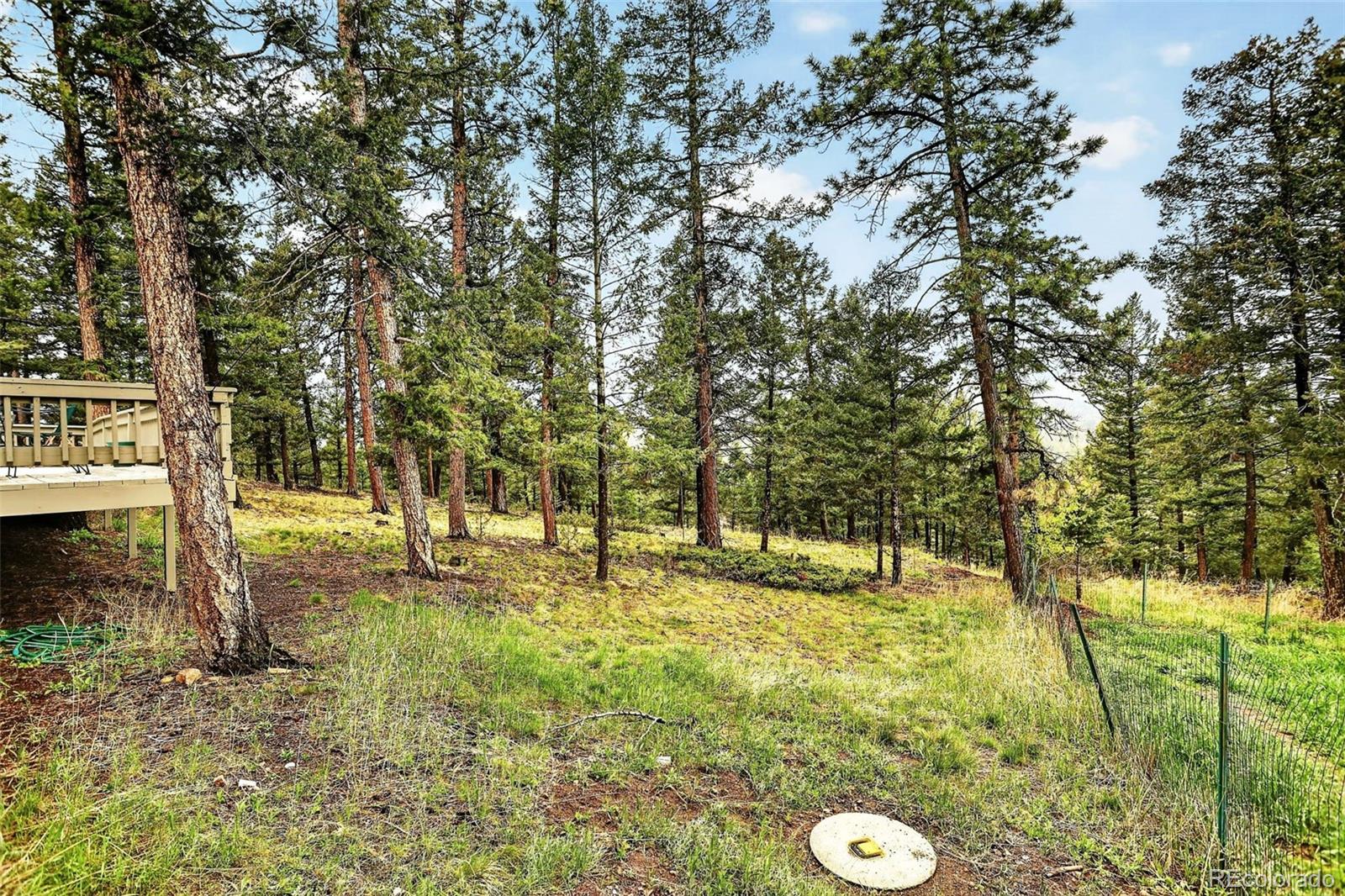 28221 Bonanza Drive Evergreen CO 80439
