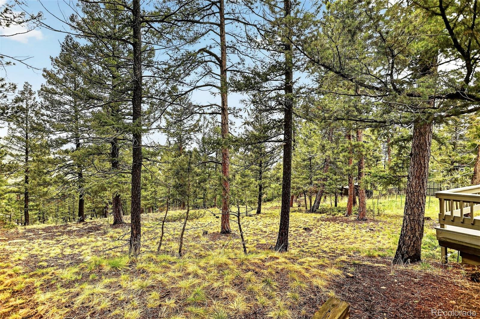 28221 Bonanza Drive Evergreen CO 80439