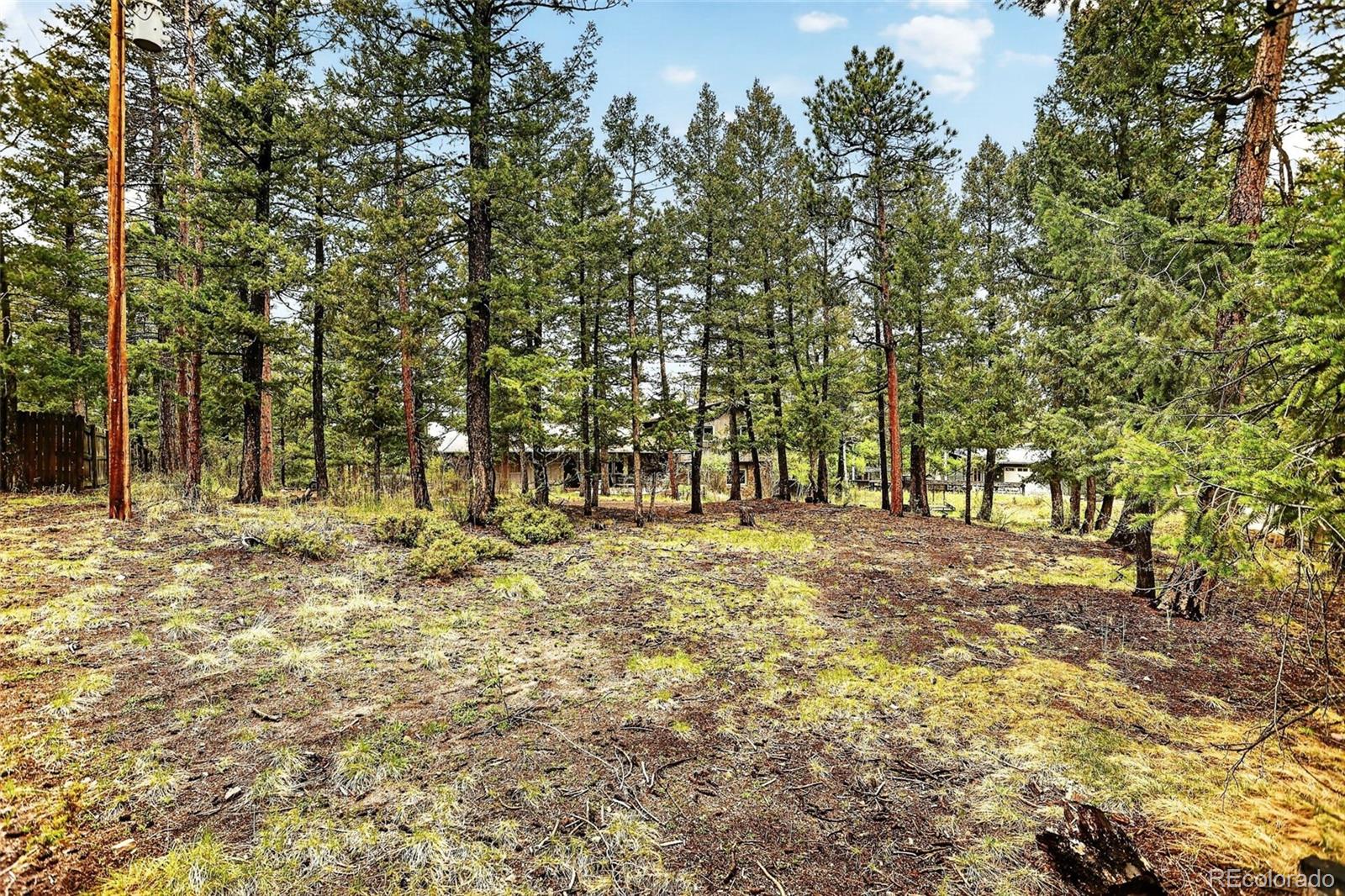 28221 Bonanza Drive Evergreen CO 80439