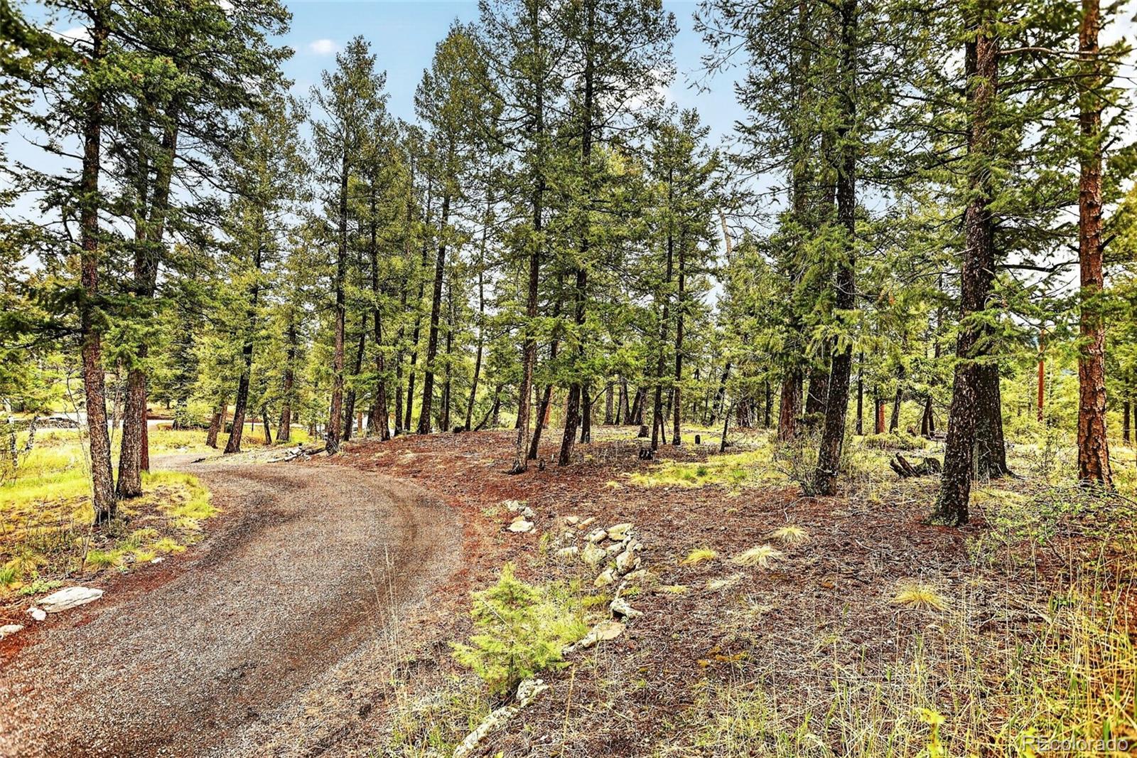 28221 Bonanza Drive Evergreen CO 80439