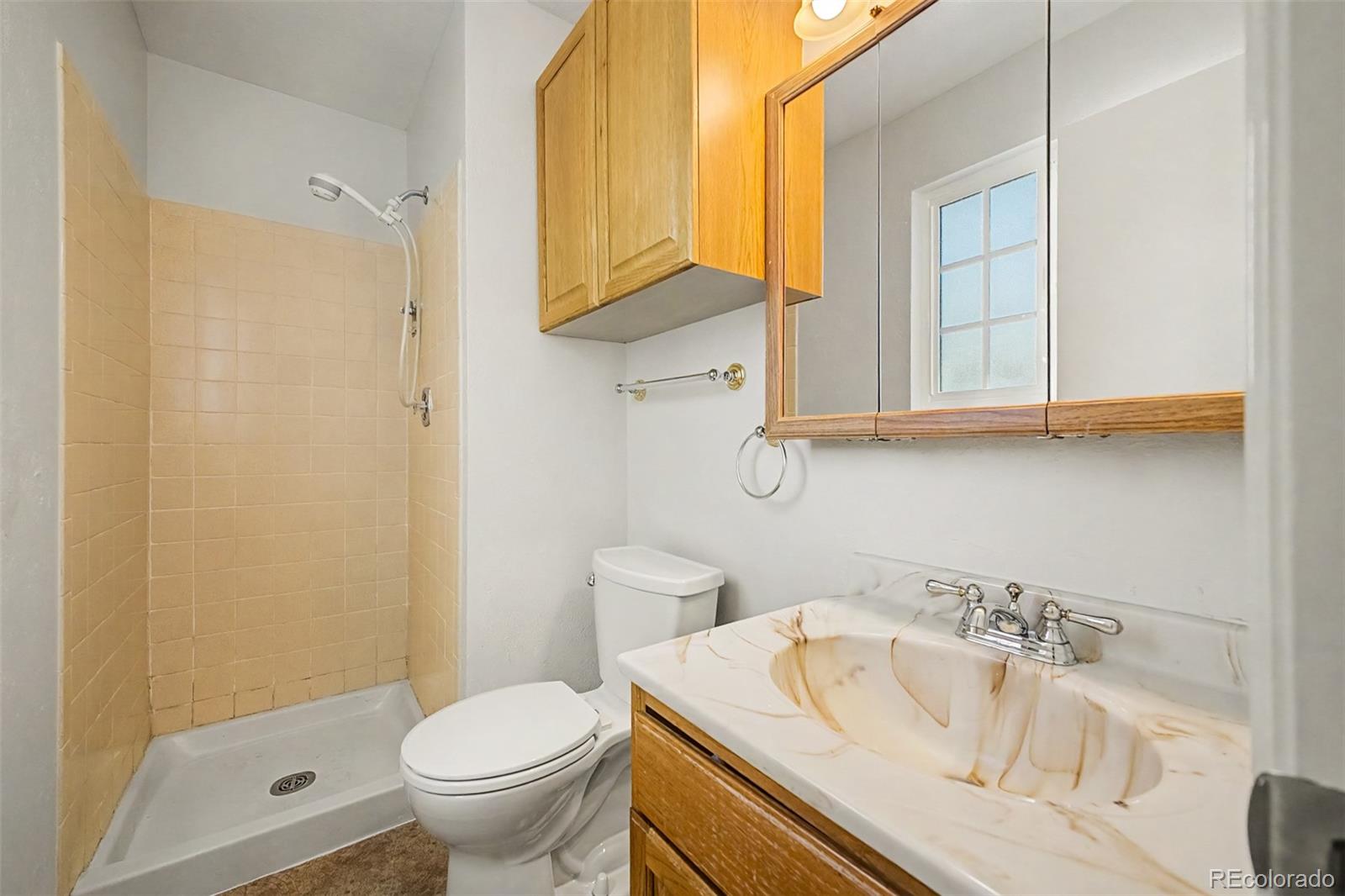 1509 S Vivian Street Longmont CO 80501