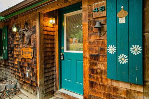 46 Singleton Road Alma CO 80420
