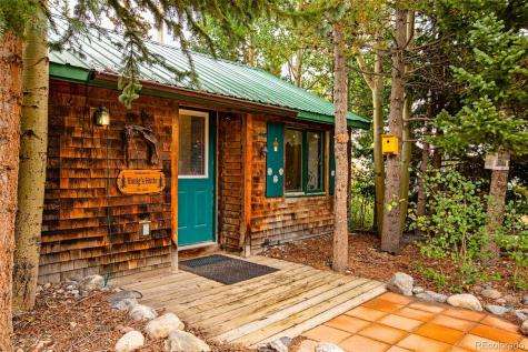 46 Singleton Road Alma CO 80420