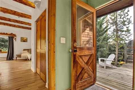 46 Singleton Road Alma CO 80420