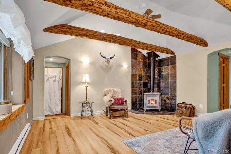 46 Singleton Road Alma CO 80420