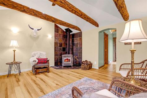 46 Singleton Road Alma CO 80420