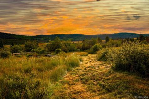 46 Singleton Road Alma CO 80420