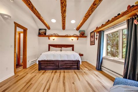 46 Singleton Road Alma CO 80420