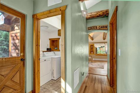 46 Singleton Road Alma CO 80420