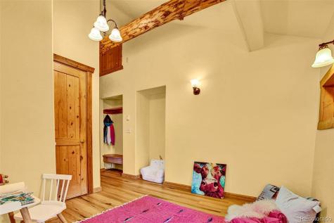 46 Singleton Road Alma CO 80420