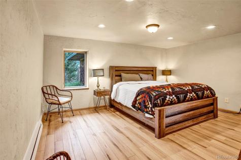 46 Singleton Road Alma CO 80420