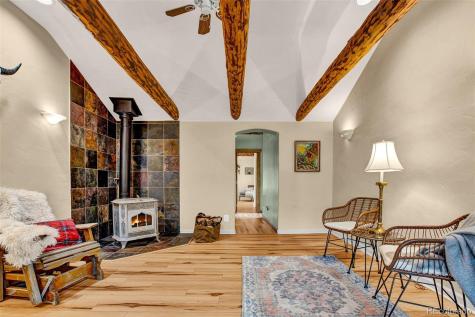 46 Singleton Road Alma CO 80420