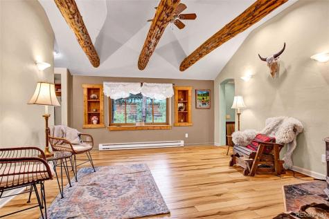 46 Singleton Road Alma CO 80420