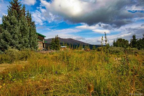 46 Singleton Road Alma CO 80420