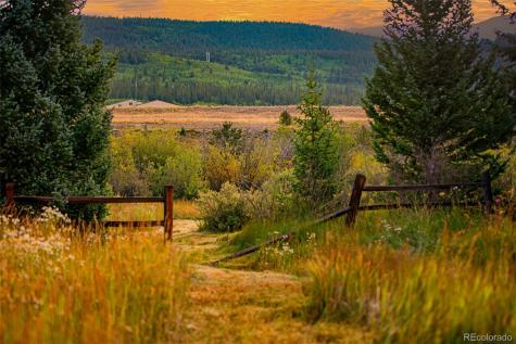 46 Singleton Road Alma CO 80420