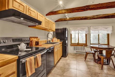 46 Singleton Road Alma CO 80420