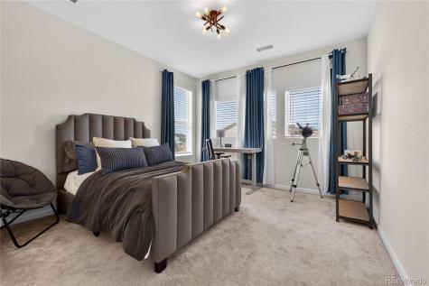 5737 Amarosa Drive Parker CO 80134