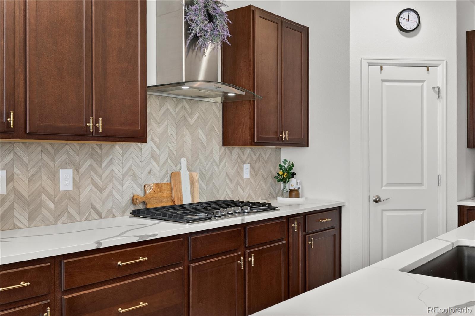 5737 Amarosa Drive Parker CO 80134