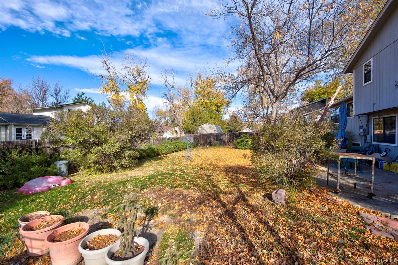 7447 Newland Street Arvada CO 80003